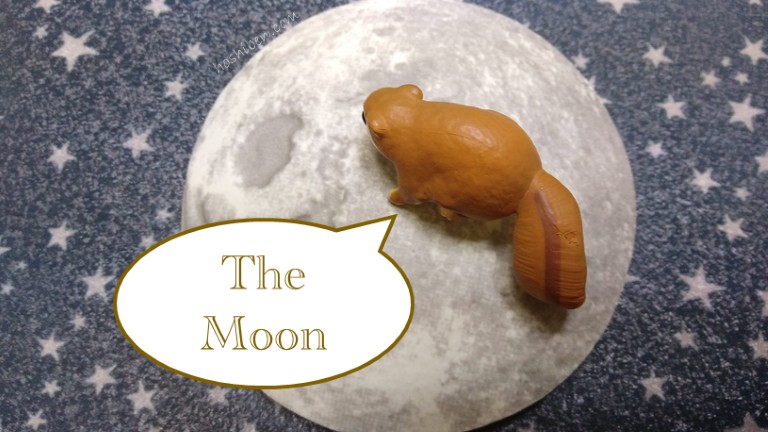 新月満月星座占い